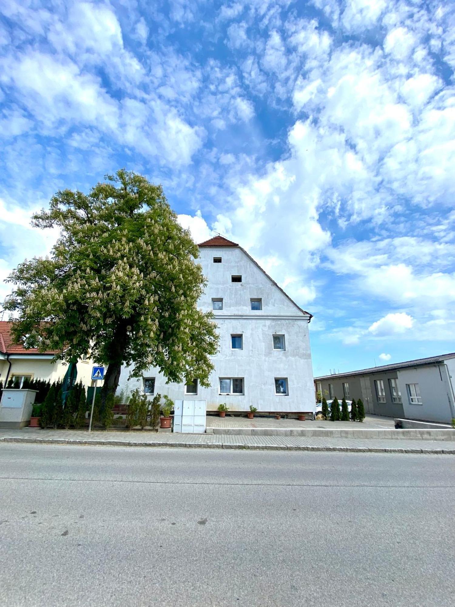 Ubytovna Kaplice Dış mekan fotoğraf
